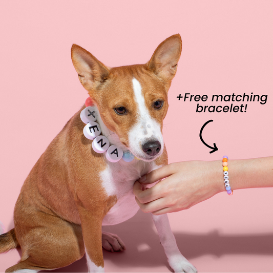 Collar Size -Dog Collar + Free Matching Bracelet